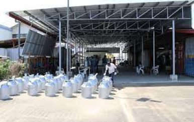 Verkiezingsvoorbereiding op schema