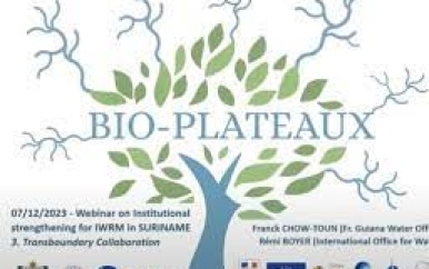 Succesvol webinar benadrukt belang van geïntegreerd waterbeheer in Suriname