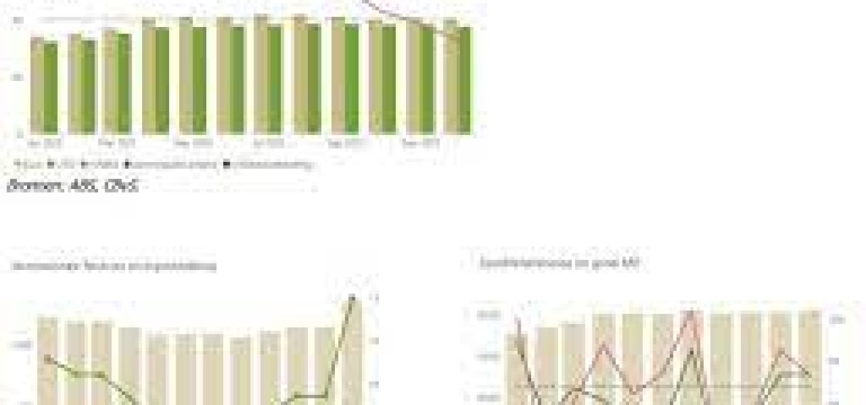 De inflatie in Suriname daalt: Wat betekent dit voor jou?