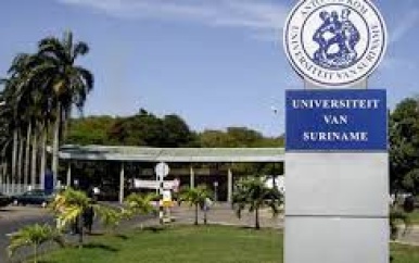 Actiemodel van Wetenschappelijk Personeel op Anton de Kom Universiteit