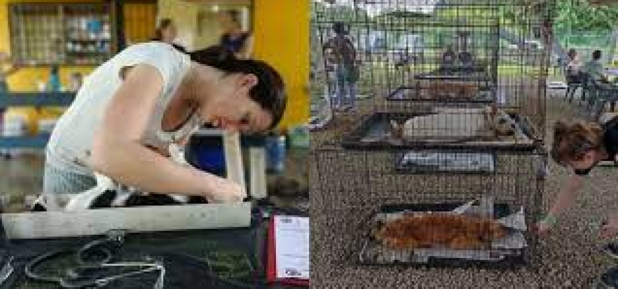 Dierenbescherming houdt veertiende sterilisatieproject