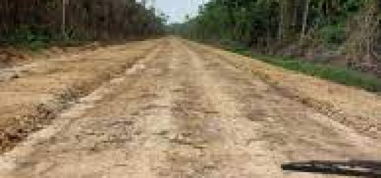 Update: wegverbinding District Nickerie en Apoera