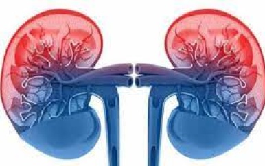 Het belang van educatie en voorlichting in de strijd tegen hart- en vaatziekten