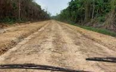 Update: wegverbinding District Nickerie en Apoera