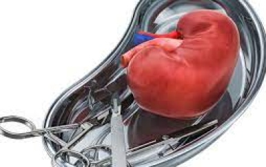 Niertransplantatie missie in Suriname: Hoop voor patiënten met nierfalen