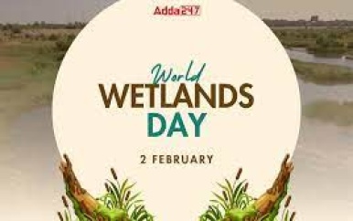 Wetlands; landgebieden met onschatbare waarde voor het welzijn van de mens