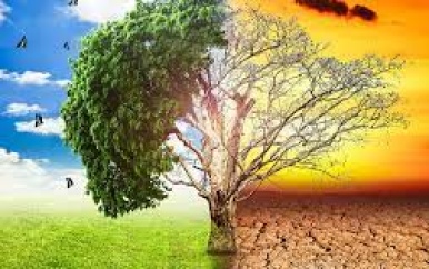 “Centrale banken moeten investeren in aanpak klimaatverandering”