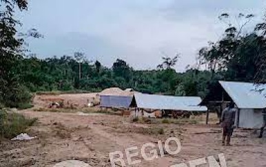 “Gewapende confrontatie op goudveld in Suriname: politie treft vuurwapen aan bij doodgeschoten rover”