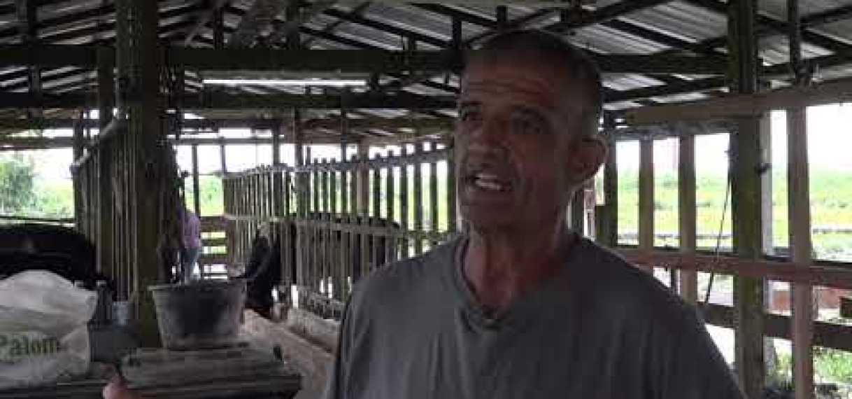 Melkboeren moeten vermoedelijk duizenden USD’s betalen voor melkkoeien van LVV