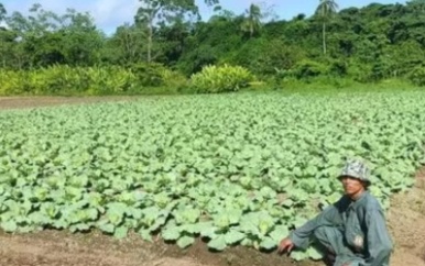 Project agrarische transformatie Philipusdorp officieel gelanceerd