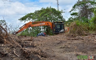 Brand in zwampgebied van Wageningen onder controle: Een samenwerking in actie