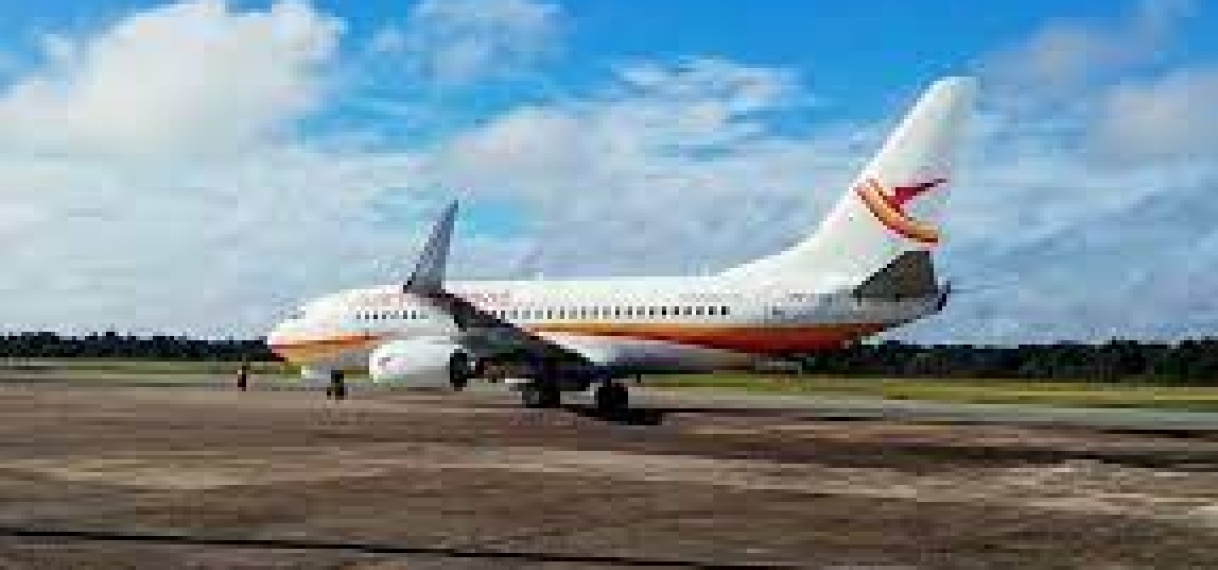 Ongeveer 593 kilogram cocaïne door het BID-team onderschept in SLM-vliegtuig