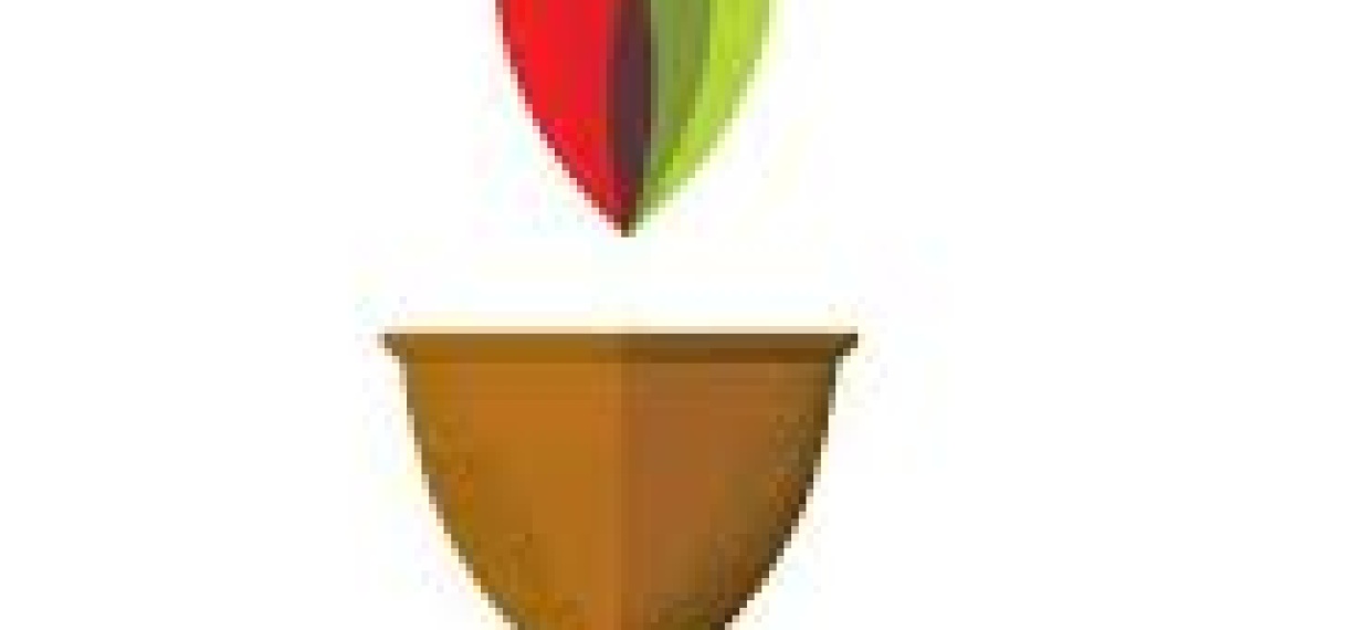 Trage groei toerisme in Suriname; “Studenten organiseren Heritage Flavor event”