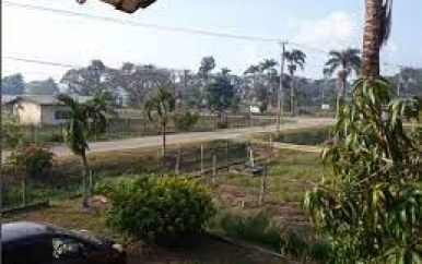 Scholen in Wageningen openen deuren met aangepaste schooluren wegens bosbranden