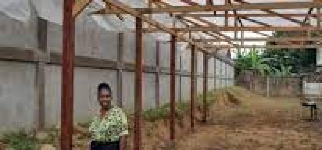 Kennedyschool krijgt moestuin met overdekte kasten