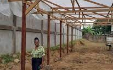 Kennedyschool krijgt moestuin met overdekte kasten