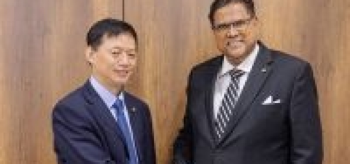 President bespreekt voortgang energieprojecten Power China