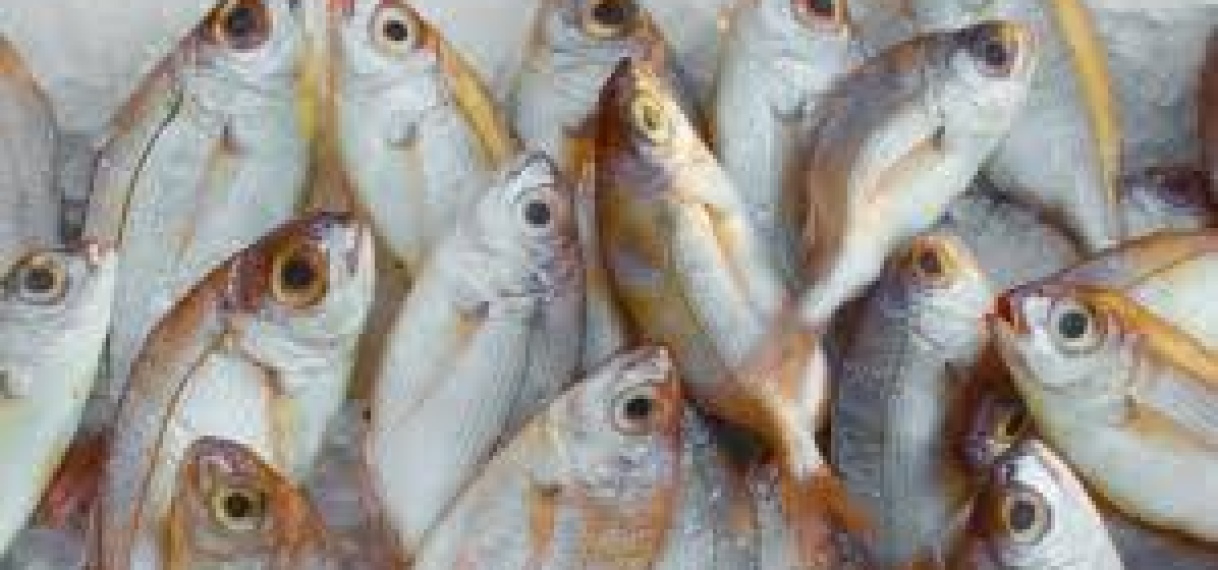 Vissersboot en vis in beslag genomen in Saramacca