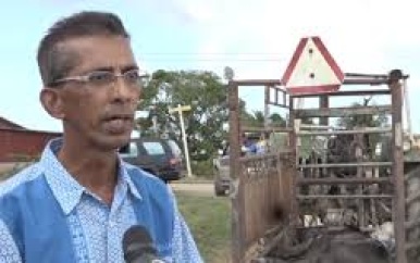 Veehouders Vereniging Nickerie spant kort geding aan tegen Radjie Rijst Industrie