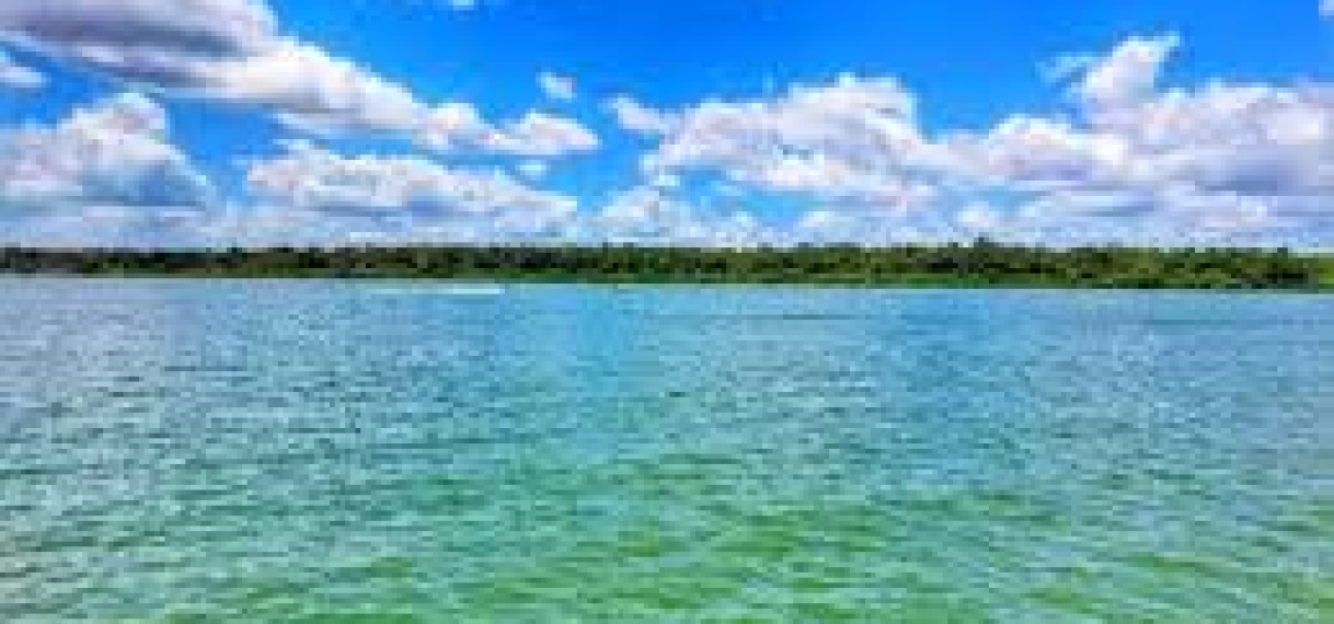 Mysterie van het groene water in Surinaamse rivieren houdt gemeenschap in de ban