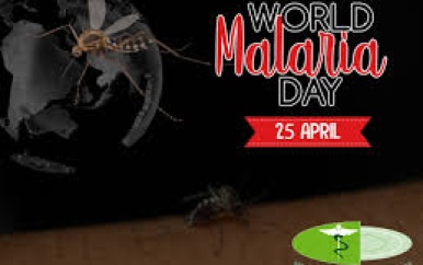 Suriname op weg naar malaria eliminatiestatus