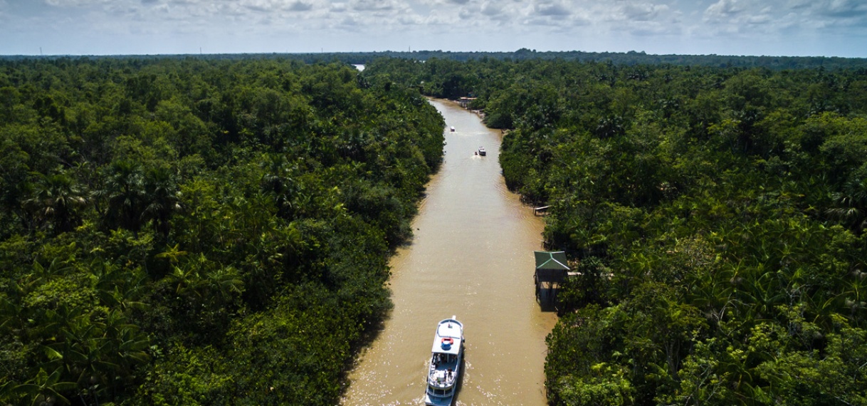 Overheidsmaatregelen om illegale wegen in Colombiaans Amazone-regenwoud vastgelopen