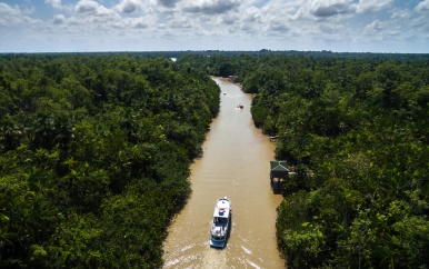 Overheidsmaatregelen om illegale wegen in Colombiaans Amazone-regenwoud vastgelopen