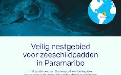 Overzicht van het zeeschildpad legseizoen 2023 in Suriname: Belang van aanpassingen voor de toekomst