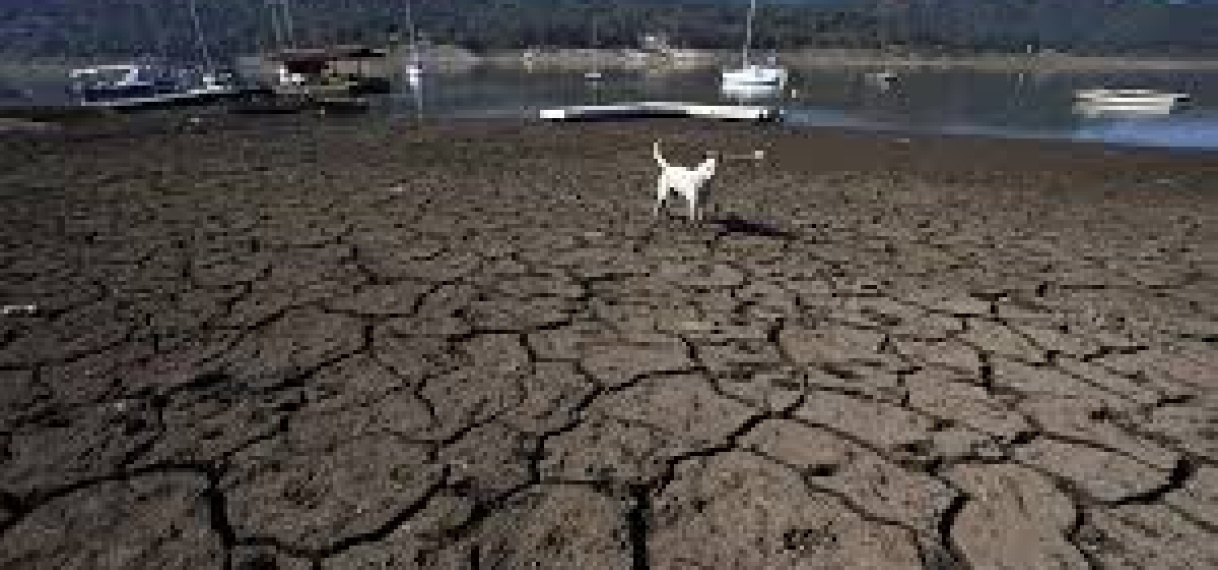 Droogte rampspoed in Mexico: “Duizenden dode vissen bedekken lagune in Chihuahua”