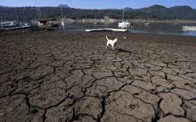 Droogte rampspoed in Mexico: “Duizenden dode vissen bedekken lagune in Chihuahua”