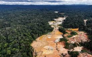 Dringende noodzaak om houtkap in het Amazonegebied te stoppen na onbekende ontmoetingen met de Mashco Piro
