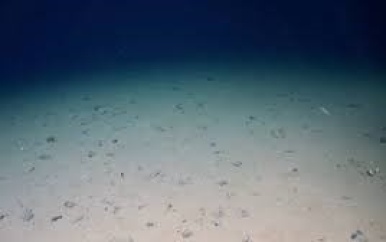 ‘Donkere’ zuurstof die niet gemaakt wordt door planten ontdekt op bodem oceaan