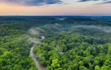 Positieve ontwikkelingen en uitdagingen voor het amazone-regenwoud