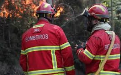 Honderden brandweerlieden bestrijden flinke brand op Madeira