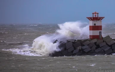 Eerste herfststorm van 2024 raast over het land: vlagen tot 100 kilometer per uur