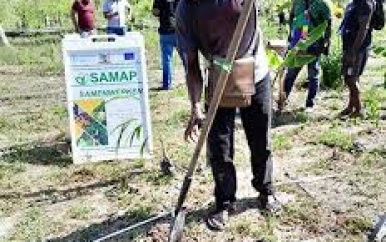 CELOS geeft agroforestry training binnenlandbewoners