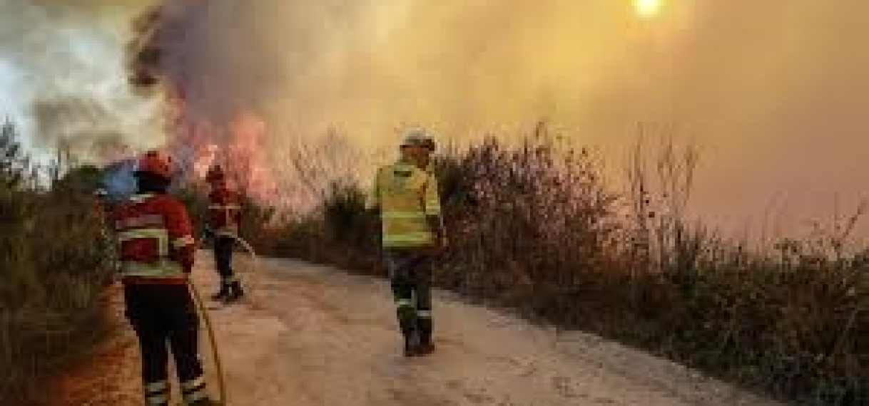 Drie brandweerlieden omgekomen bij bestrijding bosbranden Portugal