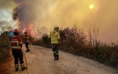 Drie brandweerlieden omgekomen bij bestrijding bosbranden Portugal