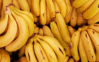 Franse supermarktmedewerker vindt kilo’s cocaïne in lading bananen