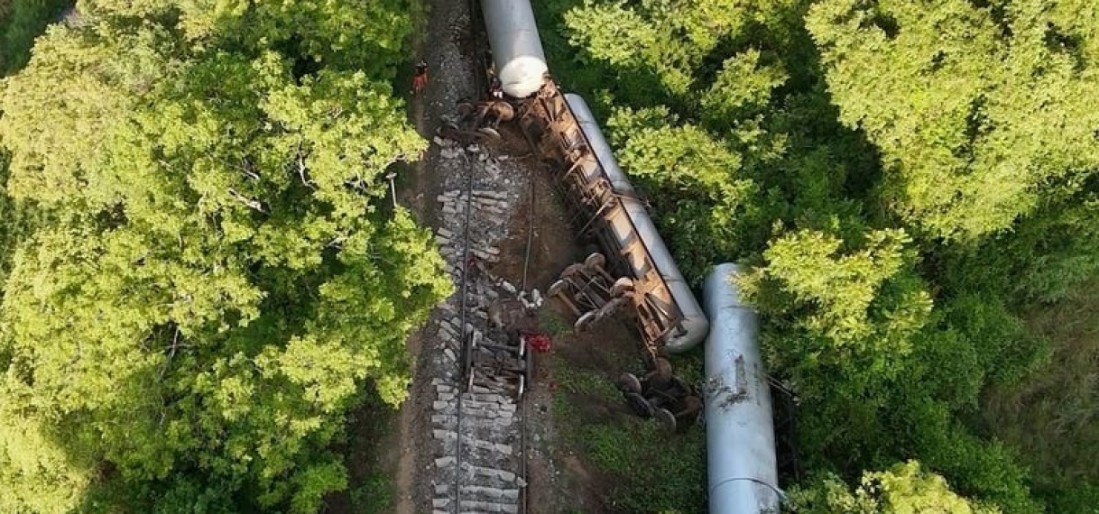 Enorme ravage nadat trein op kudde olifanten botst in Sri Lanka