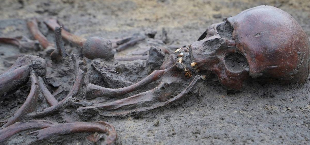 Vijftig skeletten uit Vikingtijd in ‘uitzonderlijke staat’ opgegraven in Denemarken