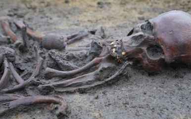 Vijftig skeletten uit Vikingtijd in ‘uitzonderlijke staat’ opgegraven in Denemarken