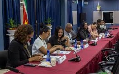 Diaspora Instituut Suriname werkt aan vernieuwde dienstverlening voor Surinaamse diaspora