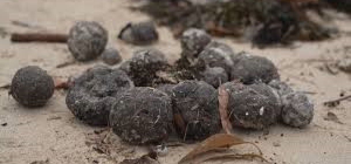 Twee stranden in Sydney dicht vanwege raadselachtige zwarte ballen