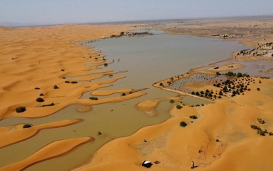 Zeldzame hoeveelheid regen zet Sahara onder water