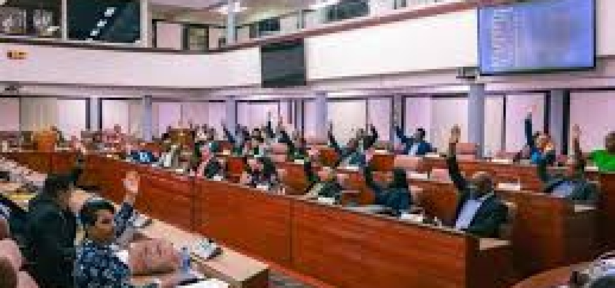 Suriname neemt Wet Kinderombudspersoon aan ter bescherming kinderrechten