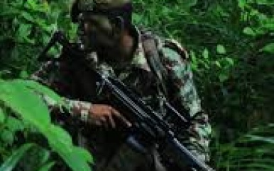 Nationaal Leger houdt open dagen om jonge Surinamers te interesseren in militair beroep