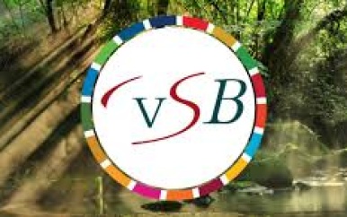 “VSB: Oproep voor duurzame bauxietontwikkeling in Suriname”