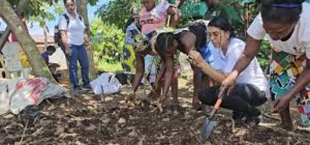CELOS-agroforestry Brownsweg impuls voor uitbreiding