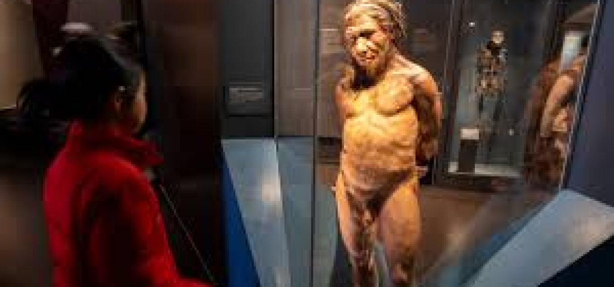 Mens had DNA van neanderthaler nodig om in Europa te overleven